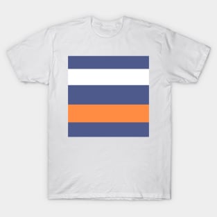 A fashionable assortment of Purple Navy, White, Topaz, Pale Orange and Orangeish stripes. T-Shirt